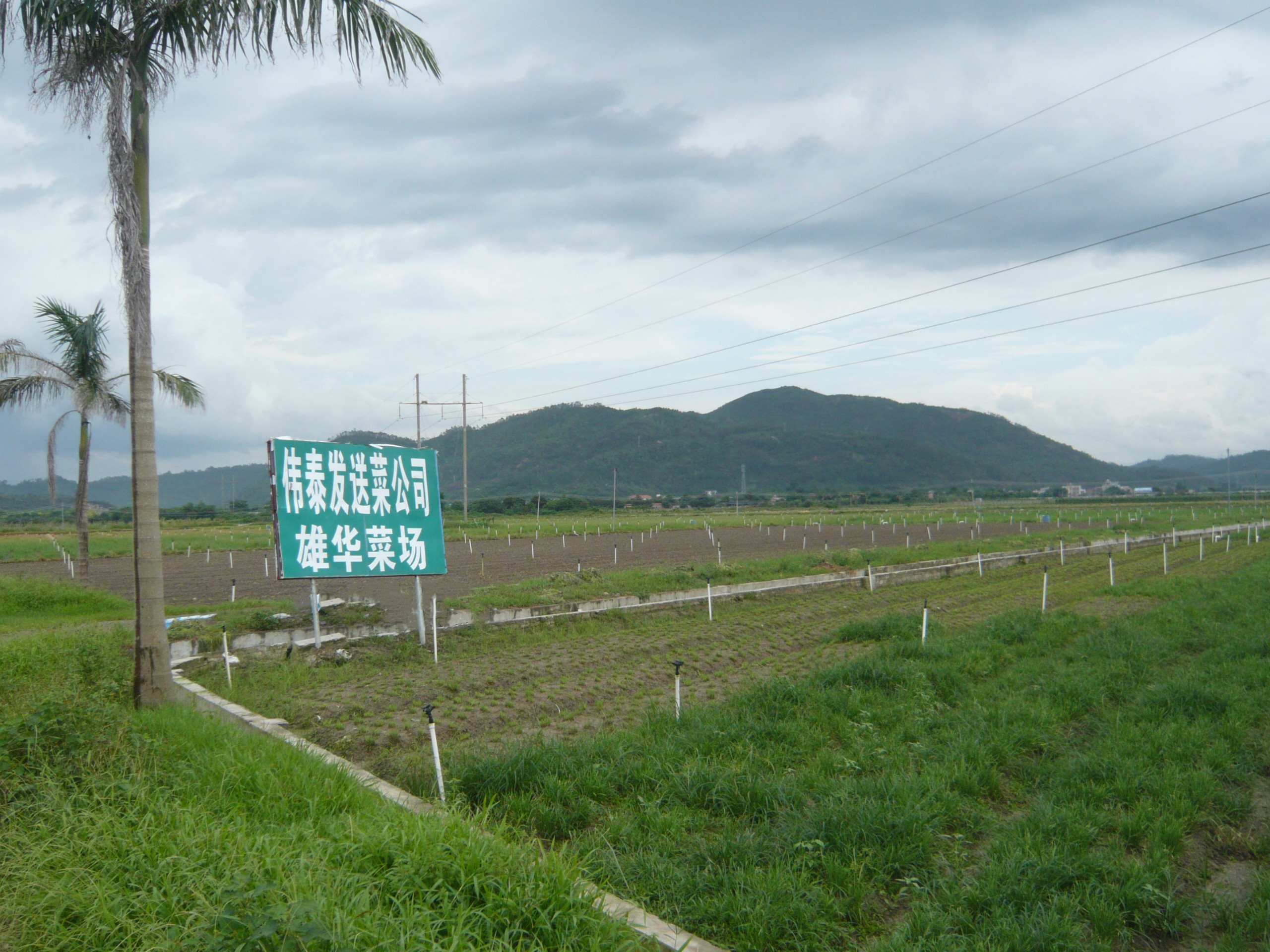 蔬菜配送公司的貨源來(lái)自哪里？