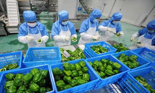 深圳蔬菜配送公司簡(jiǎn)析如何提高分揀效率