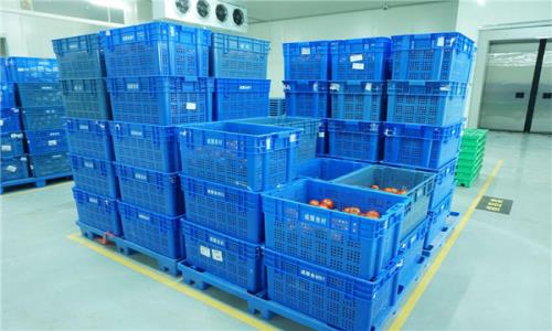 深圳送菜分享蔬菜食品的存放標準?