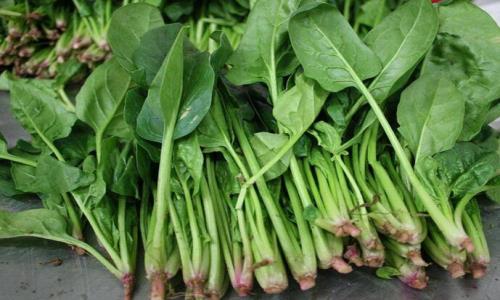 深圳送菜公司分享如何有效清除蔬菜生鮮農藥殘留